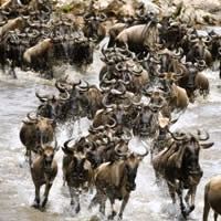 Elewana Air Safari 8 Days