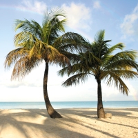 Cancun to Panama City 37 Days