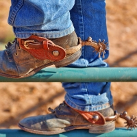 Canada & The Rockies + Calgary Stampede, 13 Days, SAVE $262*
