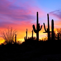Canyons & Indian Lands 7 Days