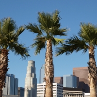 Discover the wonders of LA