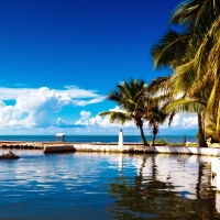 Calling all sun seekers