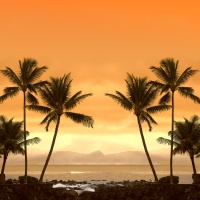 San Francisco and Honolulu Multi-stop Airfare flying Hawaiian Airlines departing Brisbane