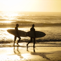 Escape to Hawaii