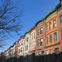 Harlem Experience