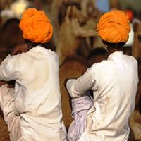 Pushkar Camel Fair, 5 Days