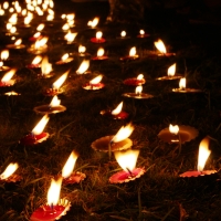 Diwali, Festival of Lights 7 Nights