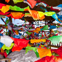 The Ladakh Festival, 4 Days