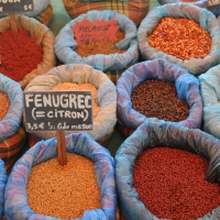 A Taste of Rajasthan, 9 Days