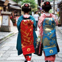 Explore Japan by Rail 20 Days