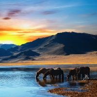 Trans Mongolian Adventure, 17 Days