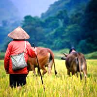 Bangkok and Myanmar Multi-stop Airfare departing Adelaide