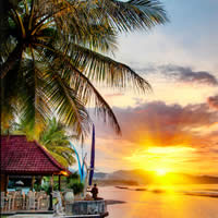 Relax in a tropical paradise