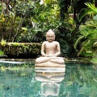 Relax in Bali