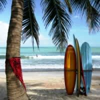Learn to Surf