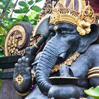 Go on a tour of Denpasar