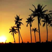Go on a Sunset Dinner Cruise
