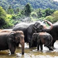Bangkok, Khao Yai National Park