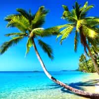 The perfect getaway