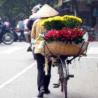 Take in the culture and diversity of Ho Chi Minh City