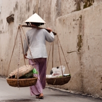 Comprehensive Vietnam tour snakes its way north from the rich plains of the Mekong Delta to the colourful hill tribe town of Sapa