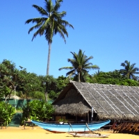 Colombo Flights + 3 Nights, 4-Star - Departing Brisbane