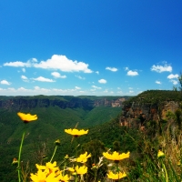Blue Mountains 1 Night