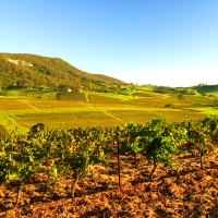 Hunter Valley 3 Nights, 4.5-star