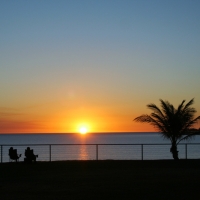 Darwin 1 Night
