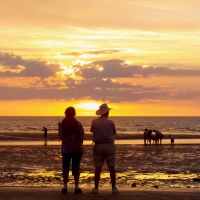 Natures Way, 2 Nights + Campervan Hire