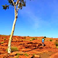Top End Safari 5 Days