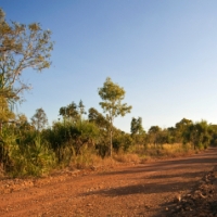 Road Trip, 2 Nights + Campervan Hire