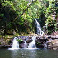 Brisbane, O'Reillys Lamington National Park