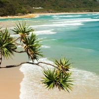 Gold Coast, Dolphin and Stradbroke Island