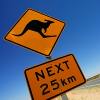 Longreach 2 Nights + Tour