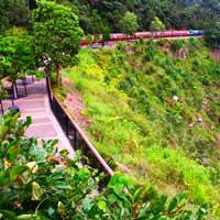 Cairns, Kuranda, Skyrail and Rail