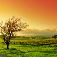 Adelaide, Kangaroo Island & Barossa , 7 days