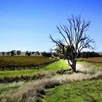 Clare Valley 3 Nights, 4.5-Star