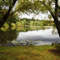 Daylesford 2 Nights, 4.5-Star