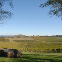 Yarra Valley - Flights + 2 Nights 4.5-Star
