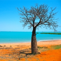 Mercure Hotel, Broome STAY 3 Nights, PAY 2, 4-Star