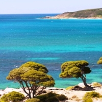 Bunker Bay Flights + 3 Nights 5-Star + Car Hire - Departing Sydney