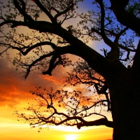 Darwin to Kimberley, 2 Nights + 10 Day Campervan