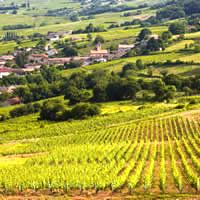 Loire Valley Highlights, 5 Days