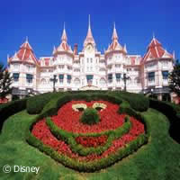 Rest amidst the magic of the Magic Kingdom!