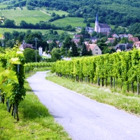 France Car Rental