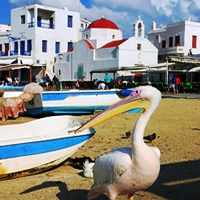 Mykonos & Santorini 10 Days