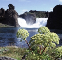 Iceland Complete Tour (English & French speaking) 9 Days
