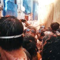 La Tomatina - Budget Tomato Fight, 4 Days