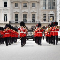 See the sights in London